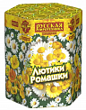 Лютики ромашки (1,1" х 19)